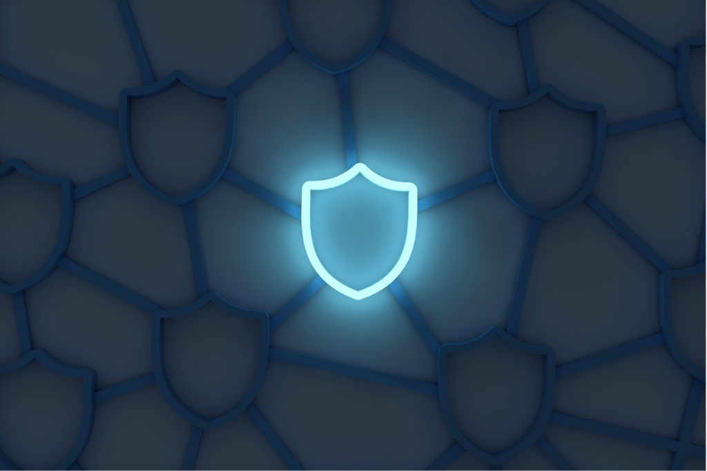 Logo de Paca protection